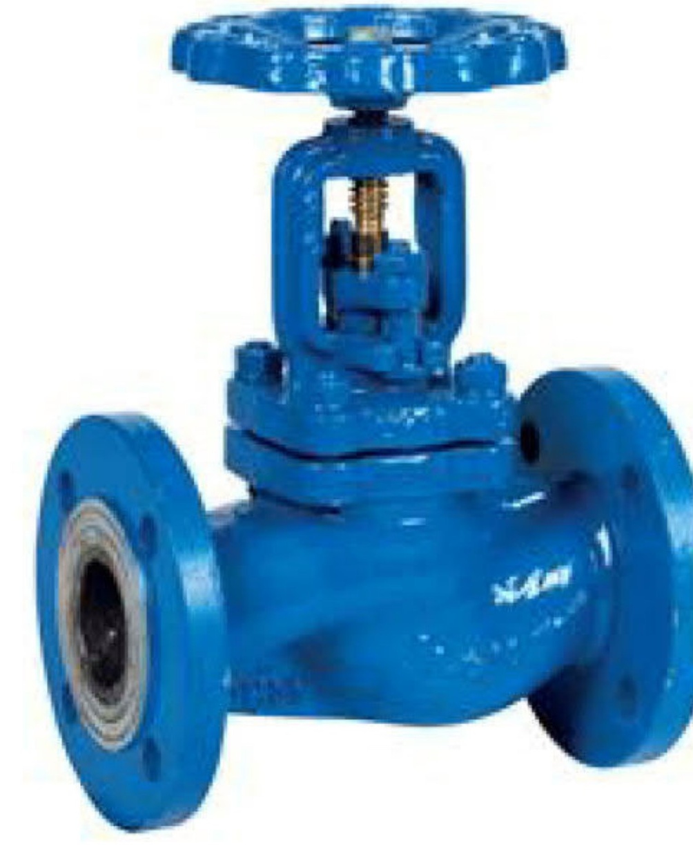 100MM PN40 CS/SS GLOBE VALVE - Straight Stop globe valve LR 755334