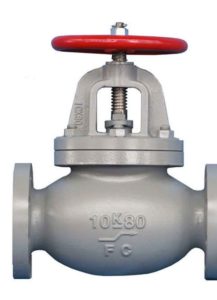 GLOBE VALVE SCREW DOWN CHECK