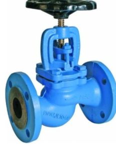 GLOBE VALVE SCREW DOWN CHECK