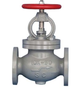 GLOBE VALVE SCREW DOWN CHECK