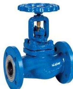 40MM PN40 CS/SS GLOBE SDNR VALVE - Straight SDNR globe valve LR
