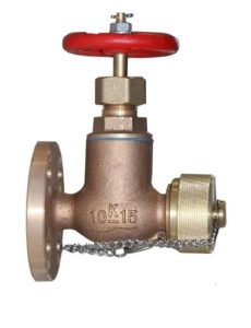 GLOBE VALVE SCREW DOWN CHECK